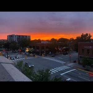 Meet your Posher, Marion